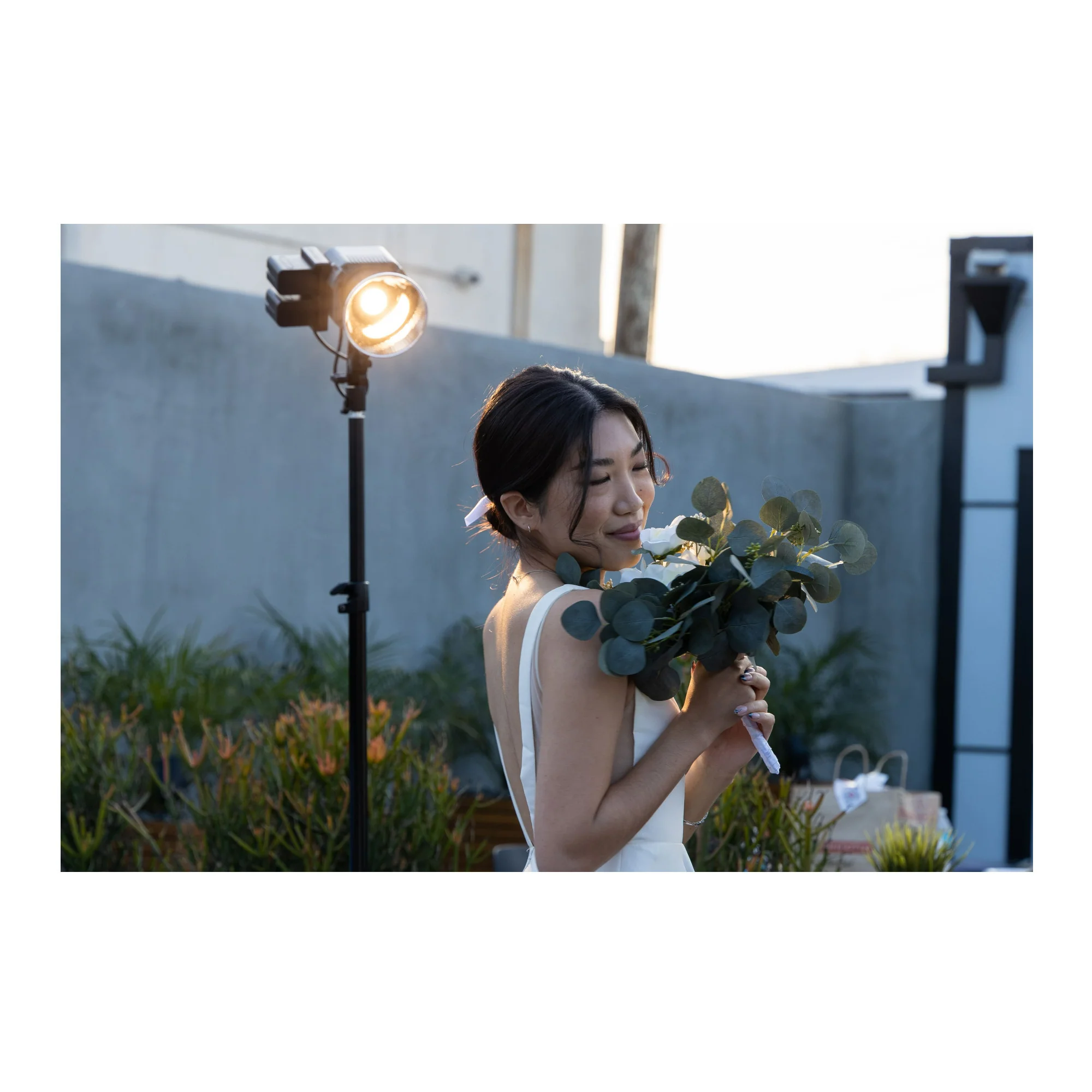 Aputure Amaran COB 200D S Point Source LED 200W Daylight with Full-Size Universal Bowens Mount - Image 3