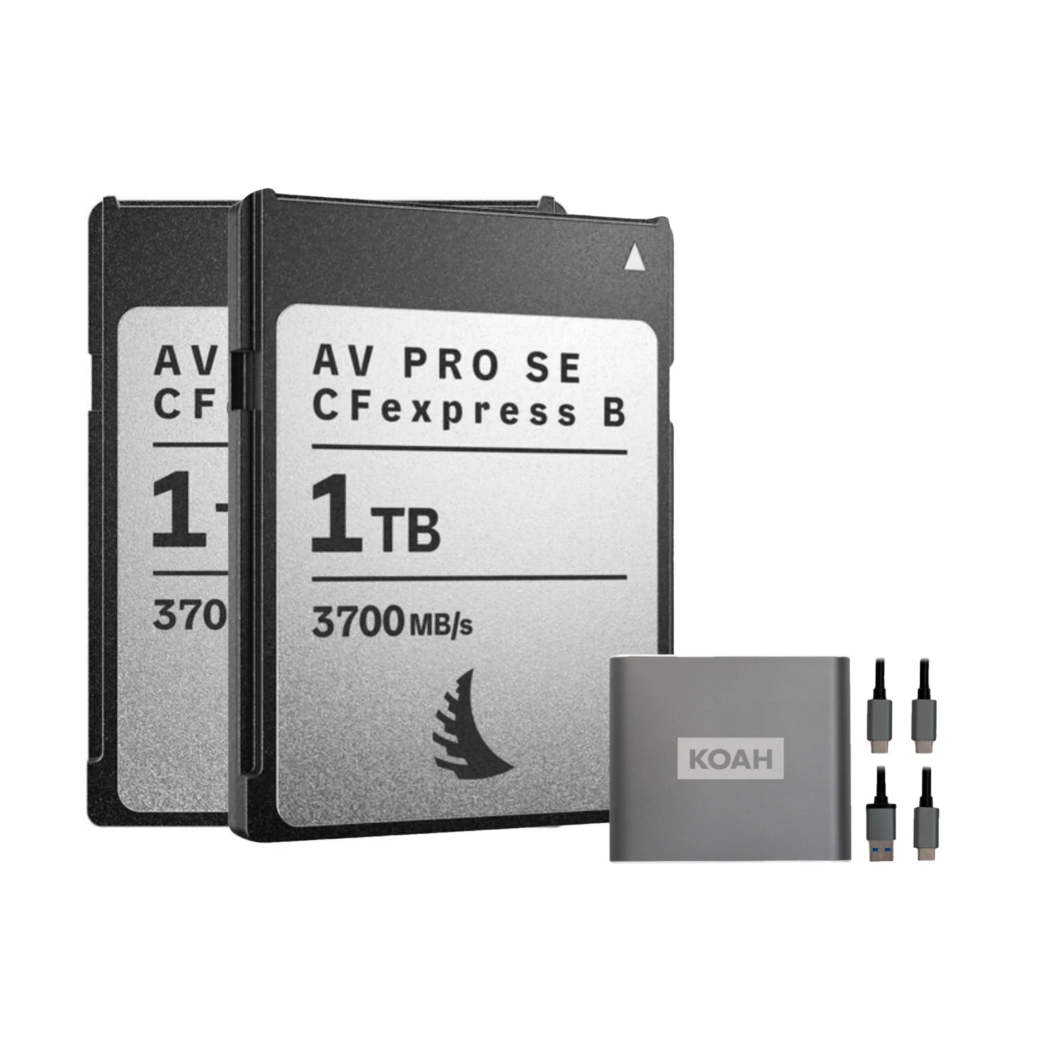 Angelbird AV PRO SE High-Speed Memory Card (2-Pack) Bundle with Reader (3 Items)