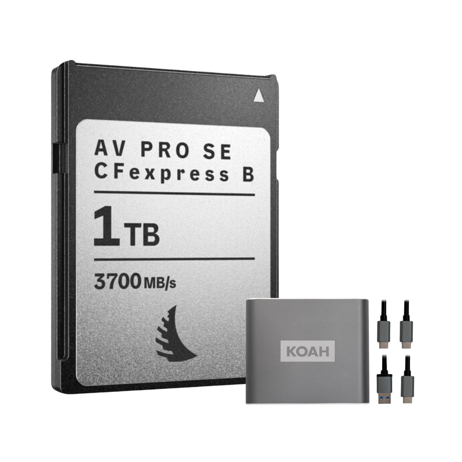 Angelbird AV PRO SE 1TB High-Speed Memory Card Bundle with Reader (2 Items)