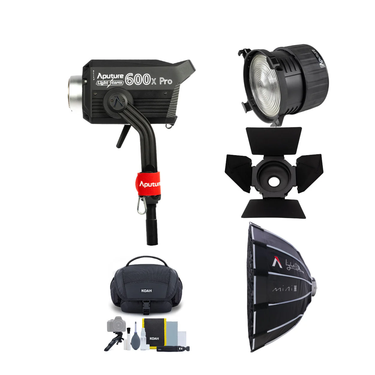 Aputure LS 600X Pro (V-Mount) with Dome, Fresnel, Barndoors and Camera System Gadget Bag