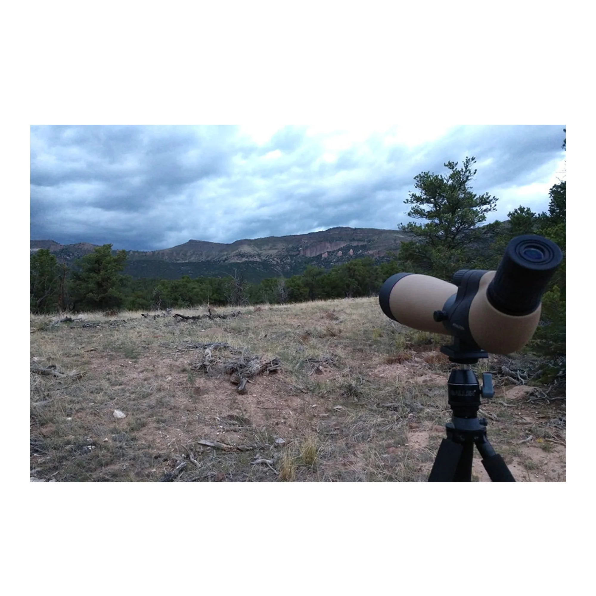 Athlon Optics Talos 20-60x80 Angled Spotting Scope (Tan) - Image 7