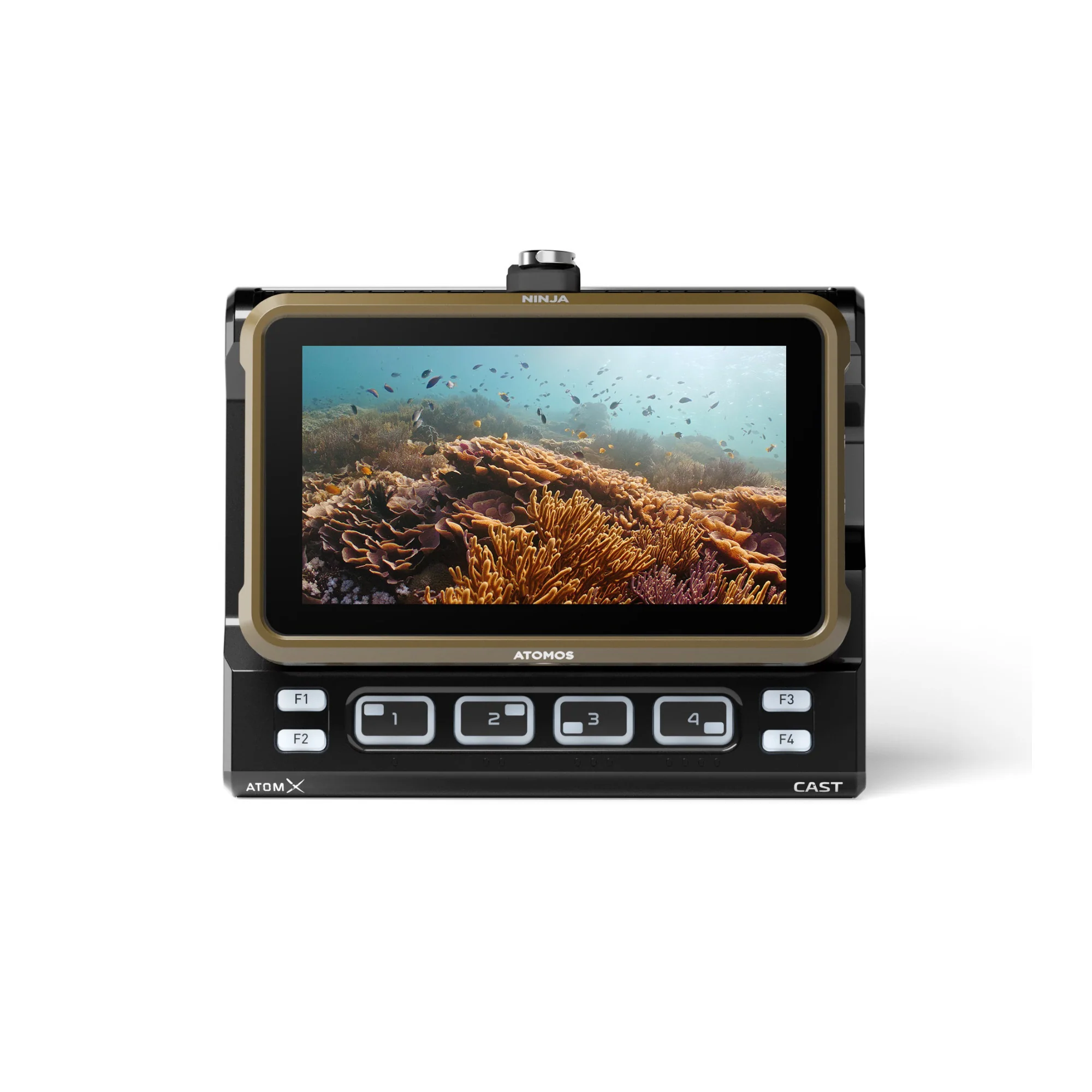 Atomos Ninja 5.2" Touchscreen 1000nit HDR Monitor-Recorder For DSLR And Mirrorless Cameras - Image 6