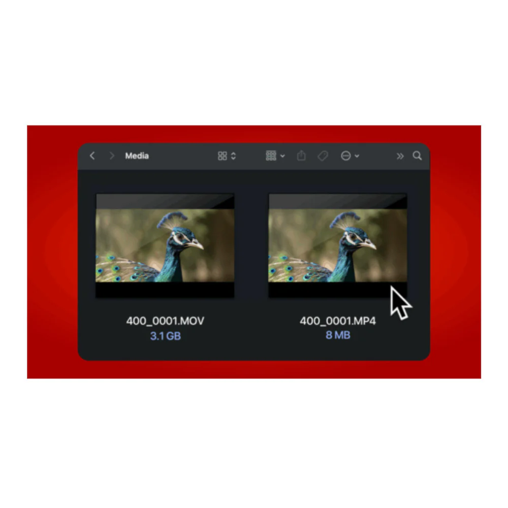 Atomos Ninja RAW 5-Inch 1500-Nit HDR Touchscreen Monitor-Recorder - Image 8