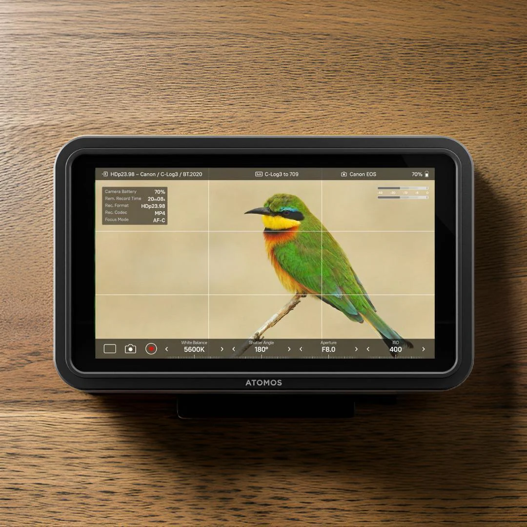 Atomos Shinobi II HDMI 4K Monitor with HDR Touchscreen with Atomos Monitor Accessory Kit Bundle - Image 6