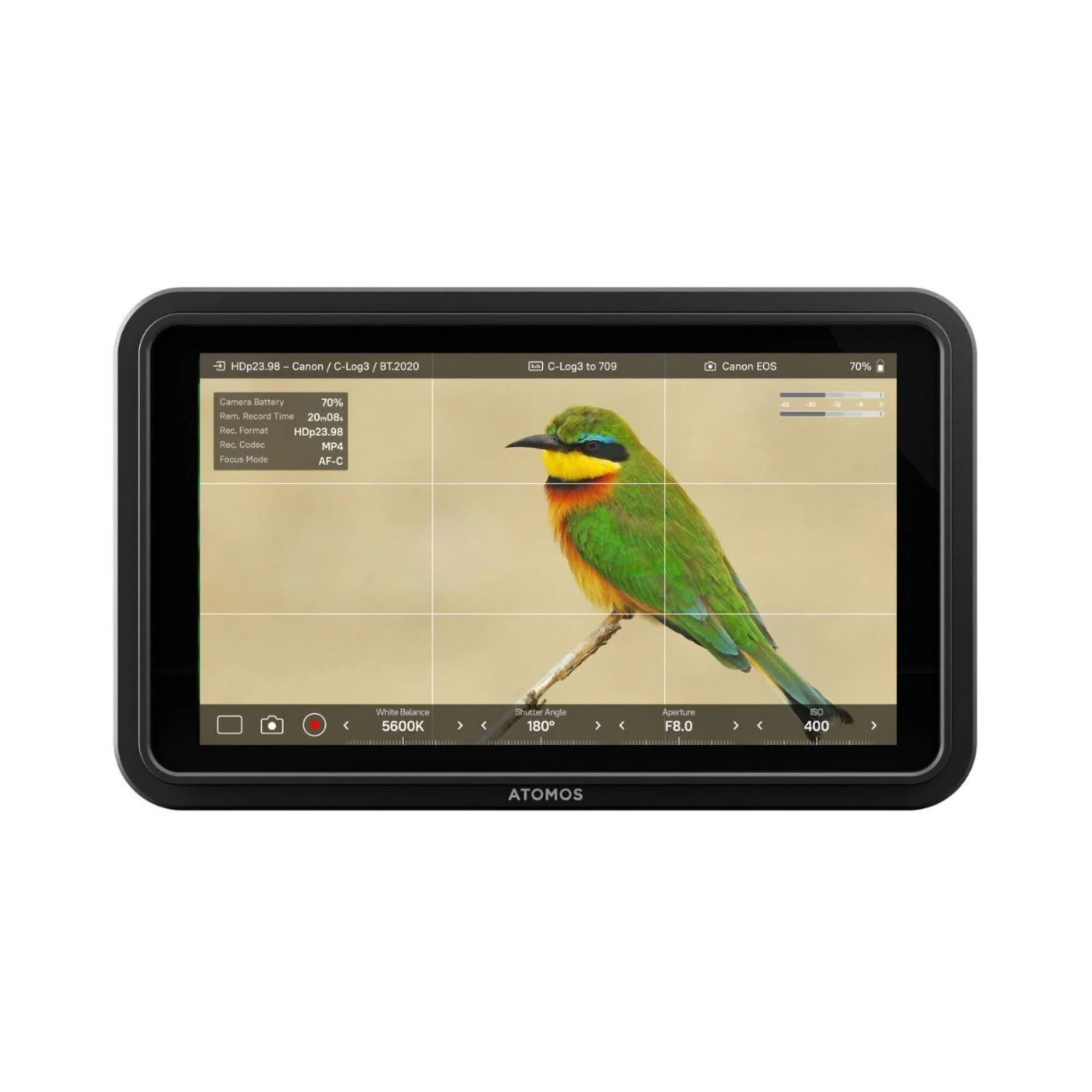 Atomos Shinobi II 5-Inch HDR Camera Monitor with Universal Accessory for 5-Inch and 7-Inch Monitors - Image 2