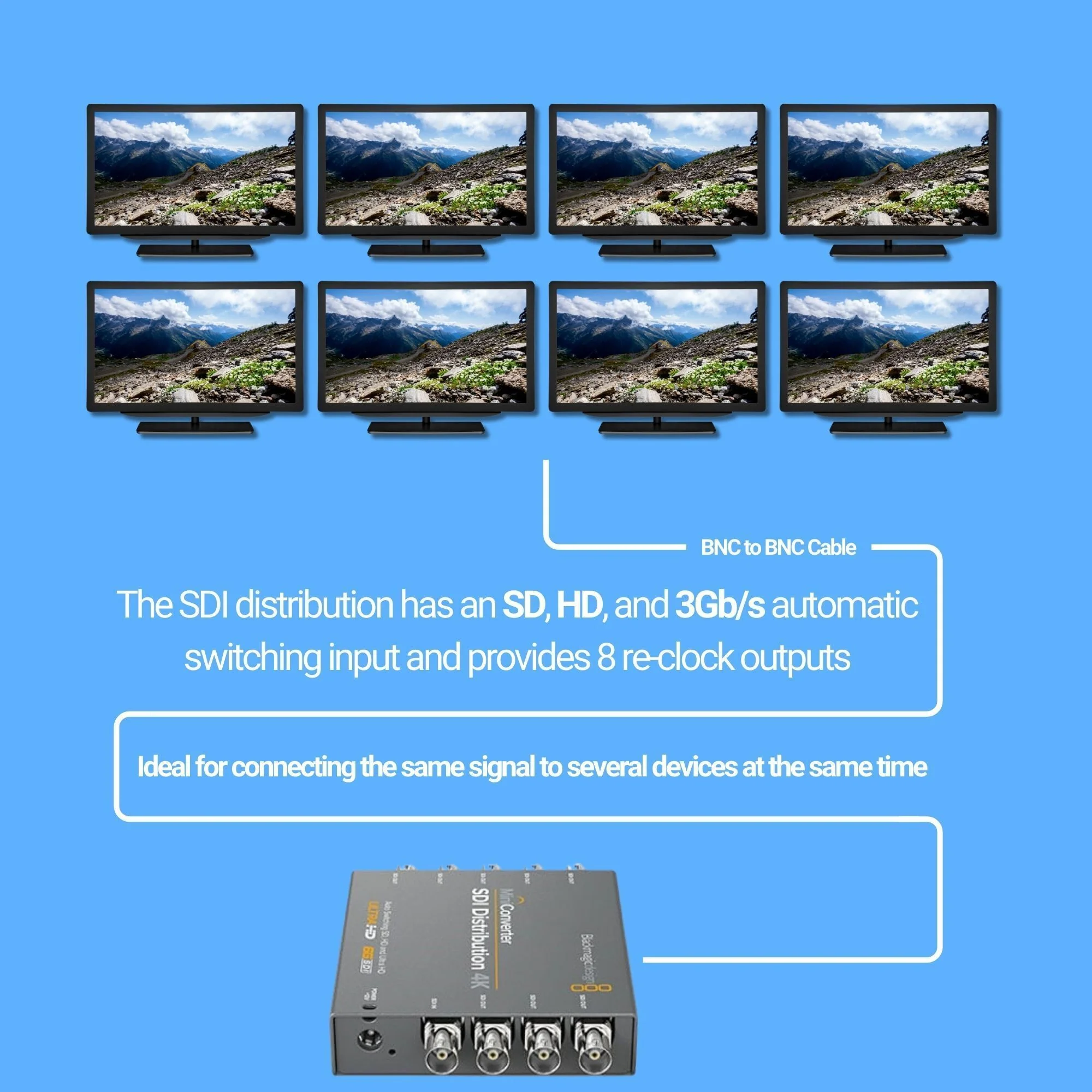 Blackmagic Design Mini Converter SDI Distribution with SDI Video Cable (BNC to BNC) Bundle - Image 5