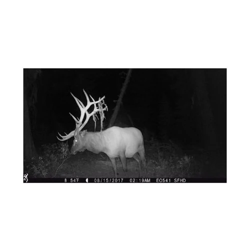 Browning Trail Cameras Strike Force Extreme 16MP Game Camera Bundle - Image 5