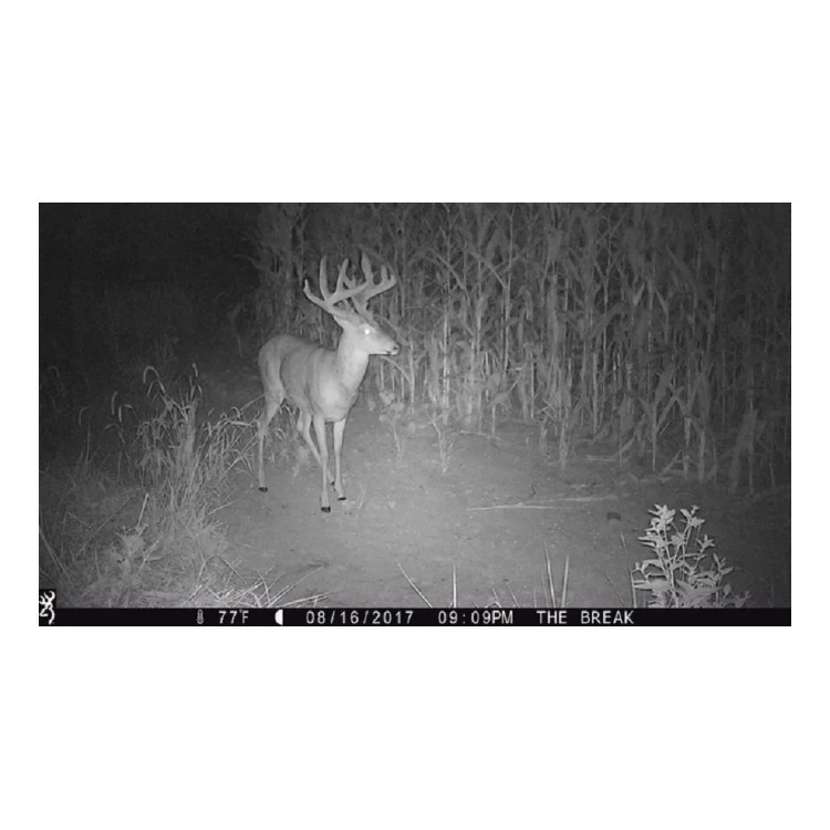 Browning Trail Cameras 16MP Strike Force Extreme Game Cam (2-Pack) w/Card Reader - Image 5