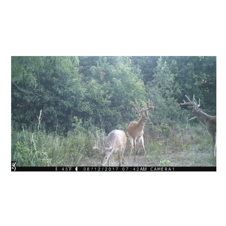 Browning Trail Cameras Strike Force Extreme 16MP Game Camera (4-Pack) Bundle - Image 9