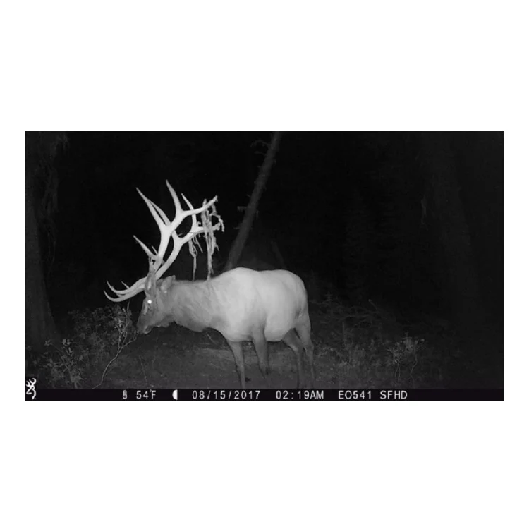 Browning Trail Cameras Strike Force Extreme 16MP Game Camera (10-Pack) Bundle - Image 10