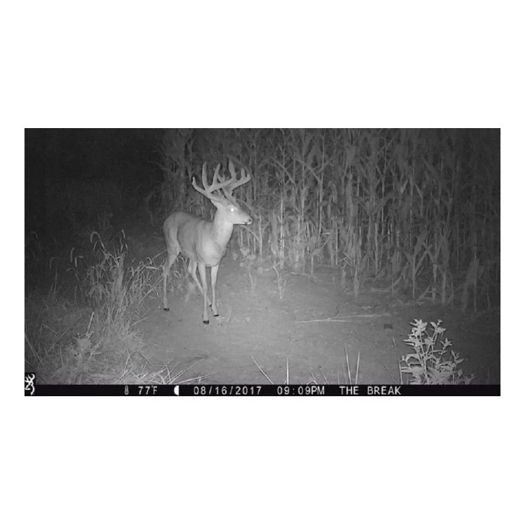 Browning Trail Cameras Strike Force Extreme 16MP Game Camera (10-Pack) Bundle - Image 8