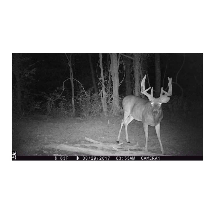 Browning Strike Force Pro X 1080 Trail Camera with 32GB, and SD Card (2-Pack) - Image 8