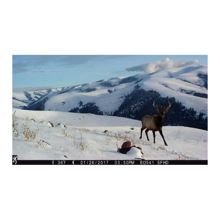 Browning Strike Force Pro X 1080 Trail Camera with 32GB, and SD Card (4-Pack) - Image 9