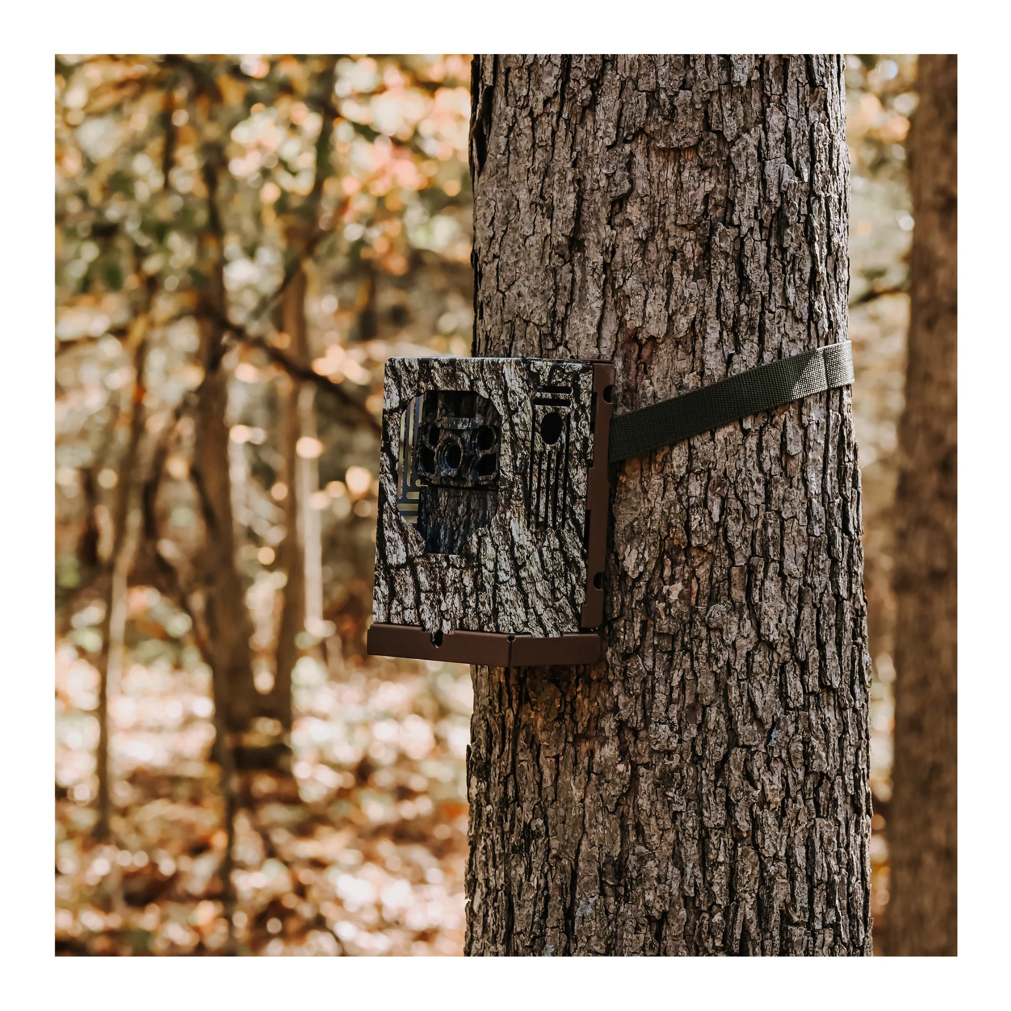 Browning Trail Cameras - Dark Ops FHDR40 with 32GB Memory Card and Card Reader - Image 7