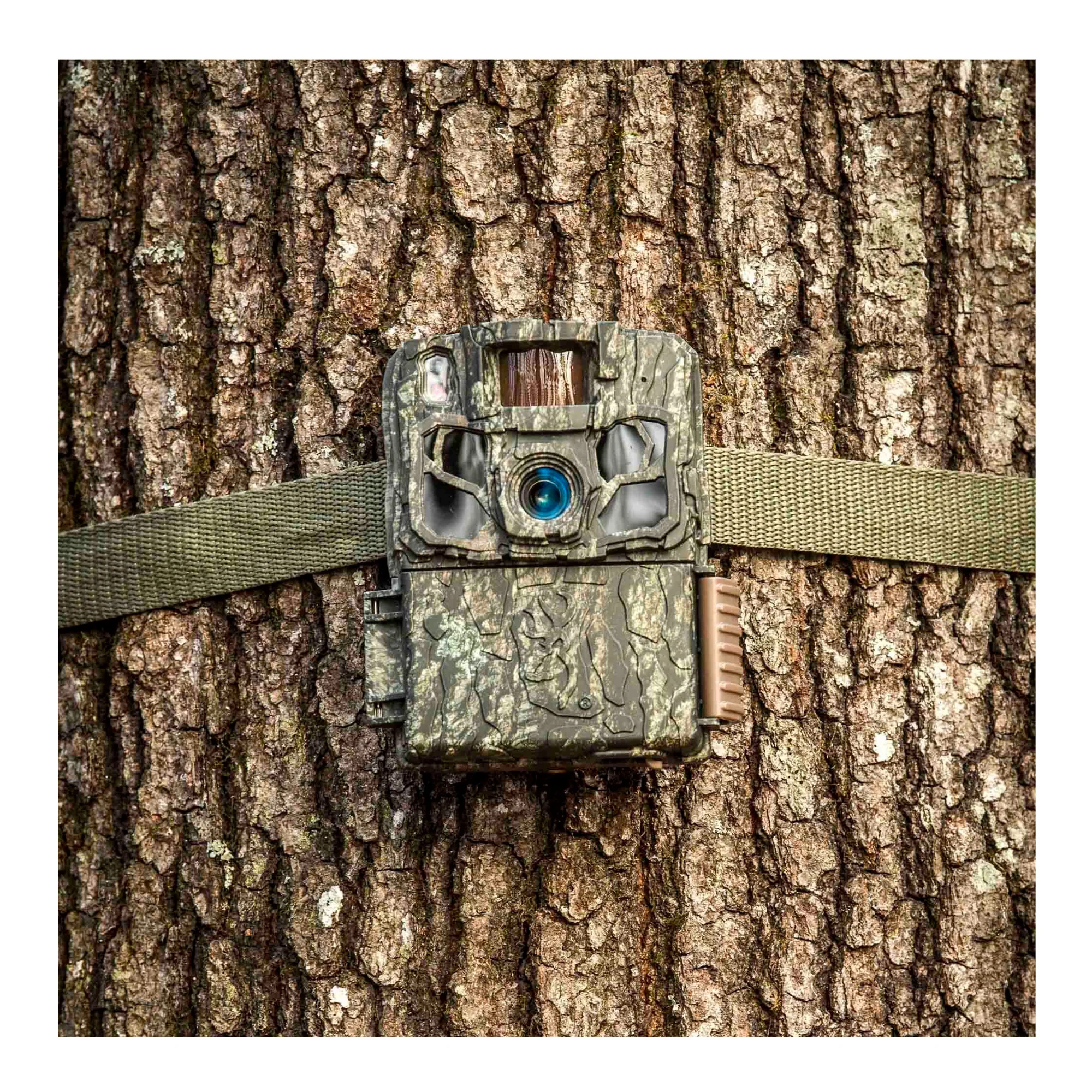 Browning Trail Cameras - Dark Ops FHDR40 (4-Pack) Bundle with Accessories - Image 6
