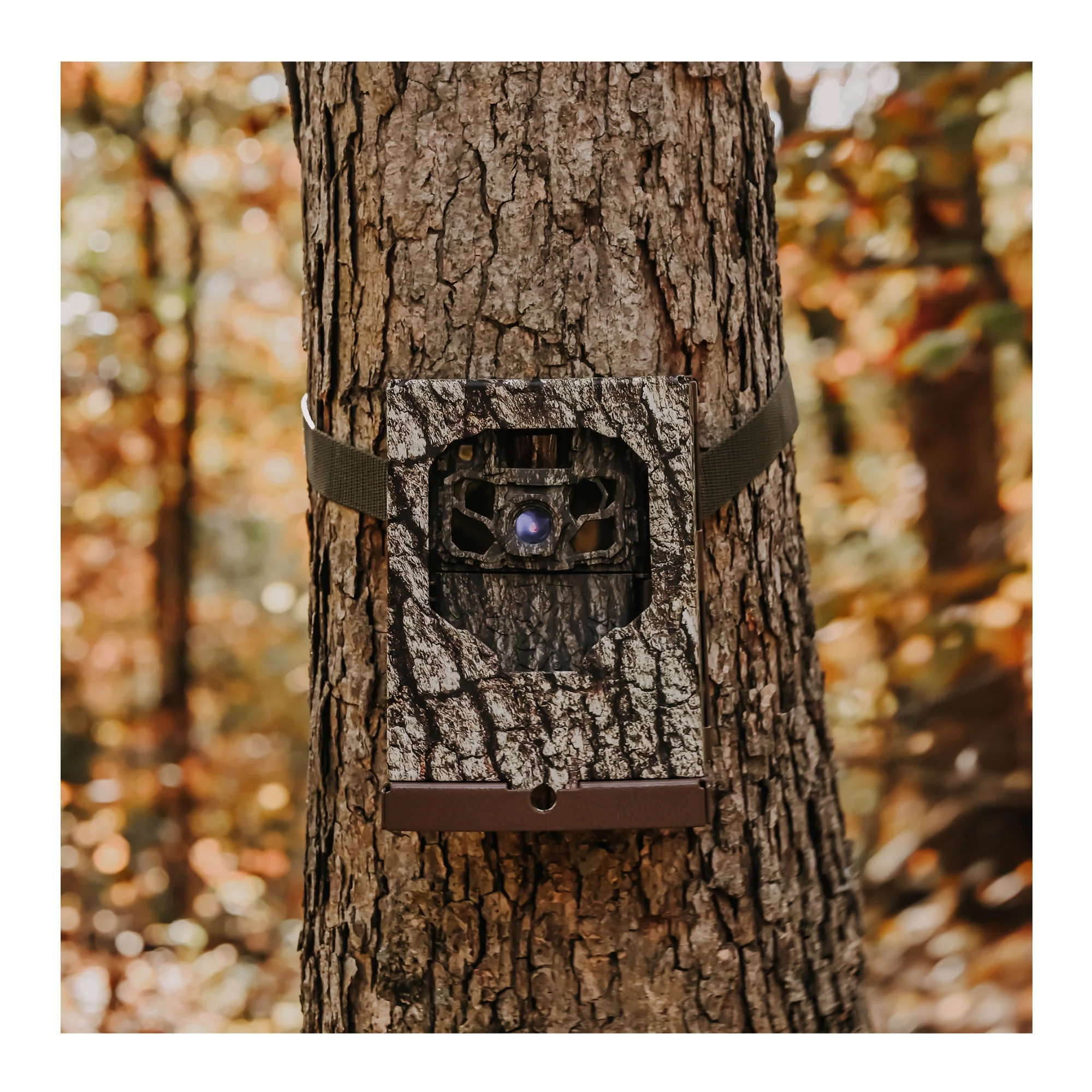 Browning Trail Cameras - Dark Ops FHDR40 (4-Pack) Bundle with Accessories - Image 8