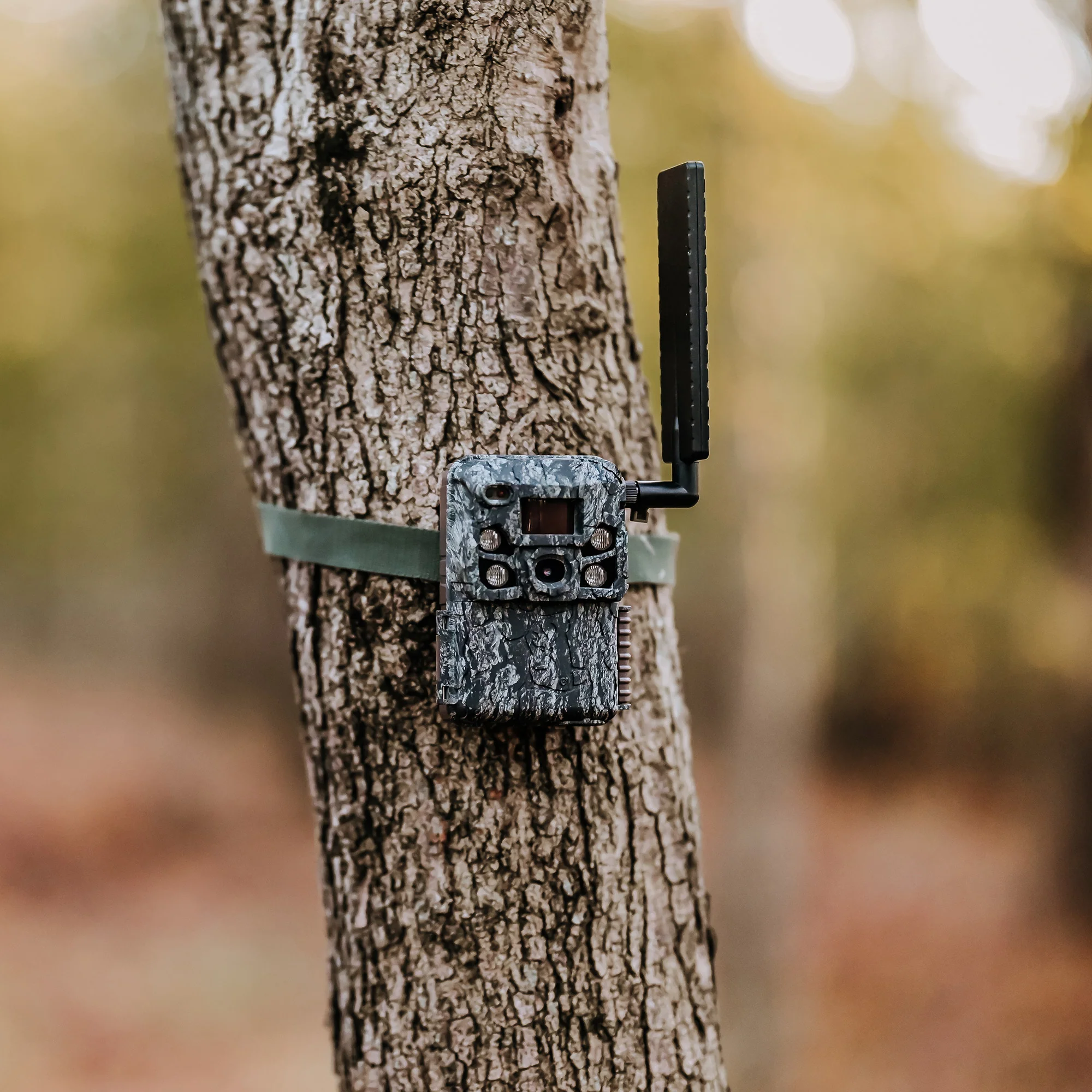 Browning Trail Camera - Defender Wireless Vision Pro HD AI 46MP Bundle - Image 6