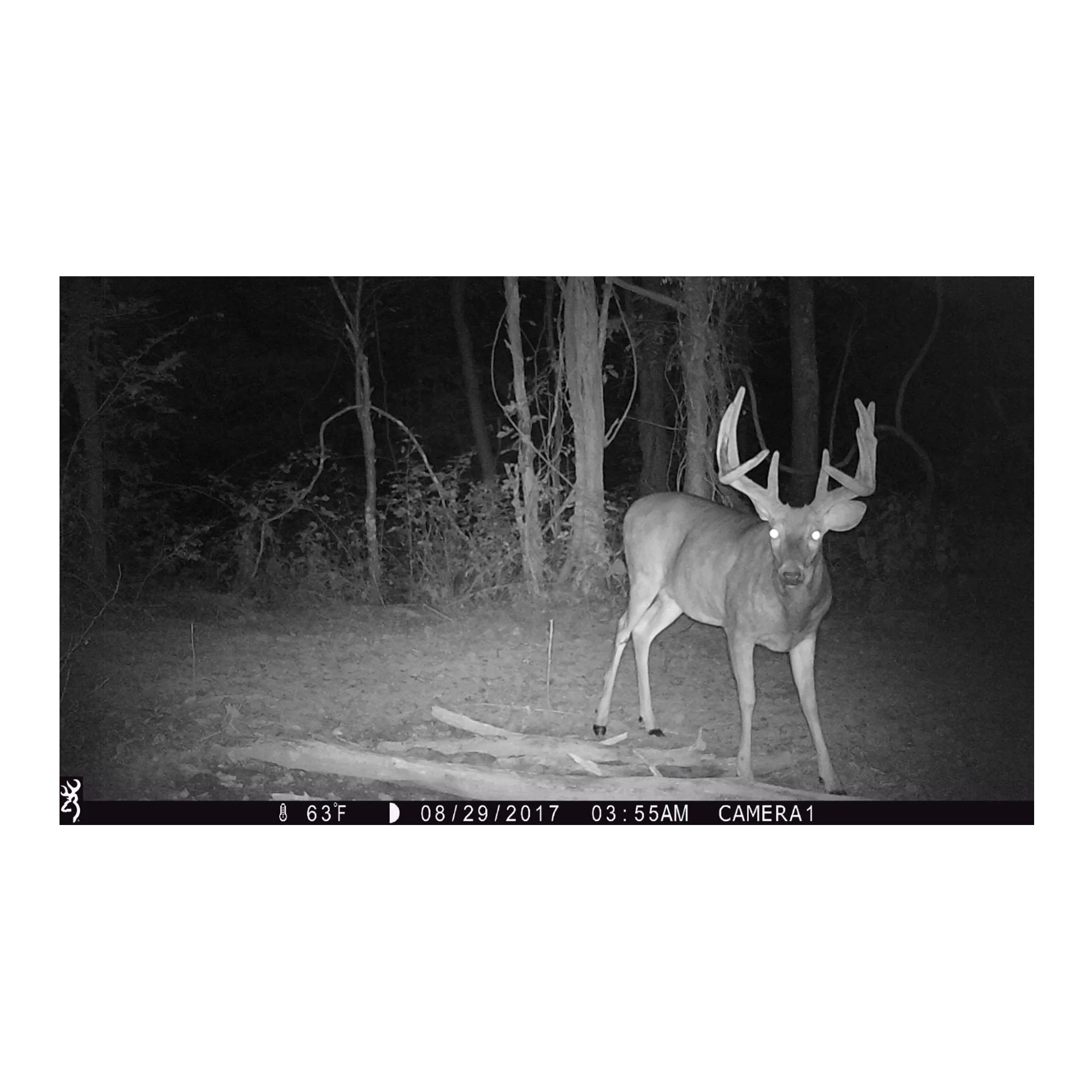 Browning Trail Cameras 18MP Strike Force HD Max Trail Camera - Image 4