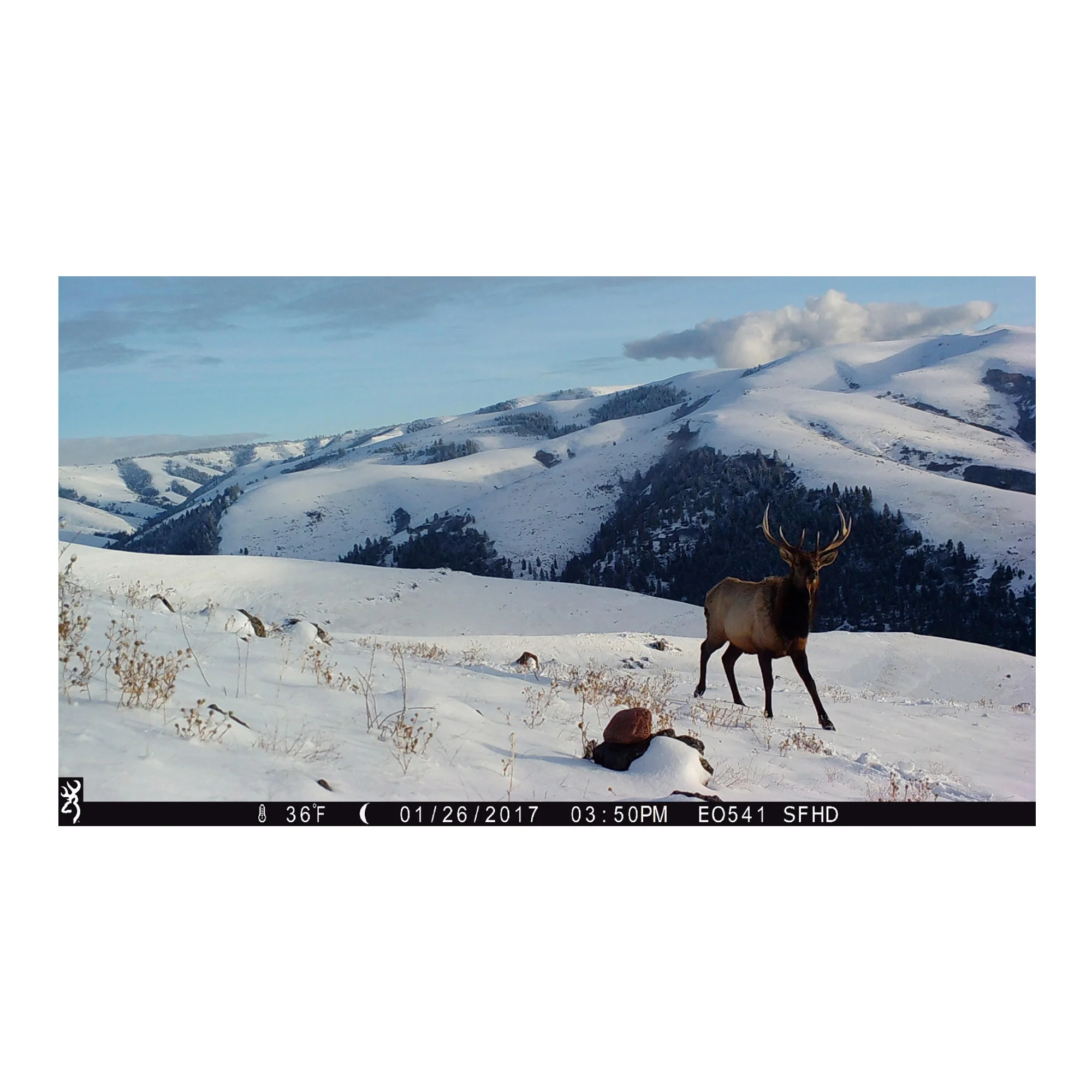 Browning Trail Cameras 18MP Strike Force HD Max Trail Camera - Image 5