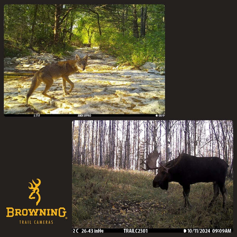 Browning Dark Ops Pro X 1080 Trail Motion-Activated Camera & Accessories Bundle - Image 7