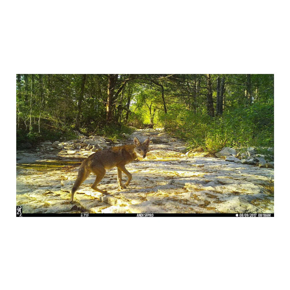 Browning Trail Cameras Dark Ops Pro X 1080 Motion-Activated Camera Bundle - Image 5