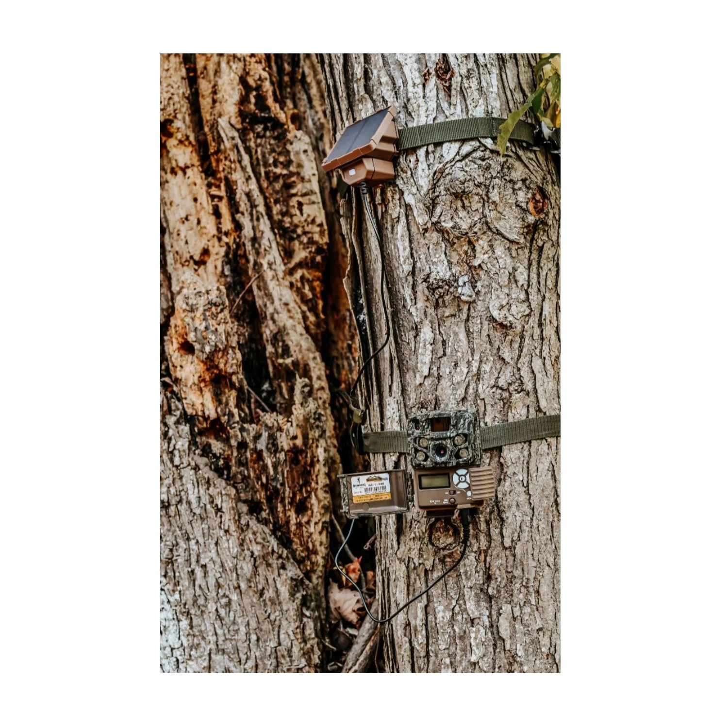 Browning Trail Camera Defender Wireless Pro Scout Max HD-DV (4-Pack) Bundle - Image 5