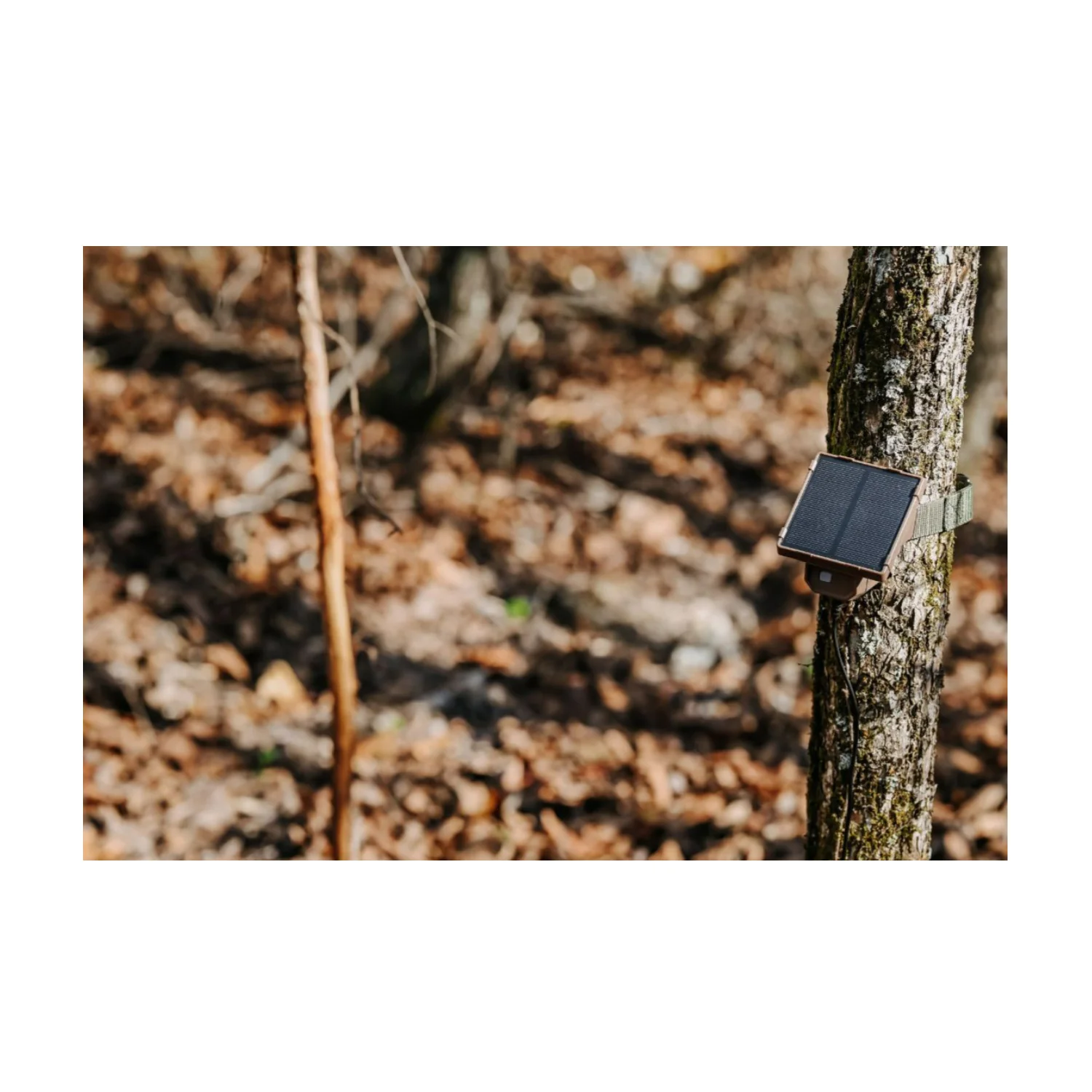 Browning Trail Camera Defender Wireless Pro Scout Max HD-DV (4-Pack) Bundle - Image 7