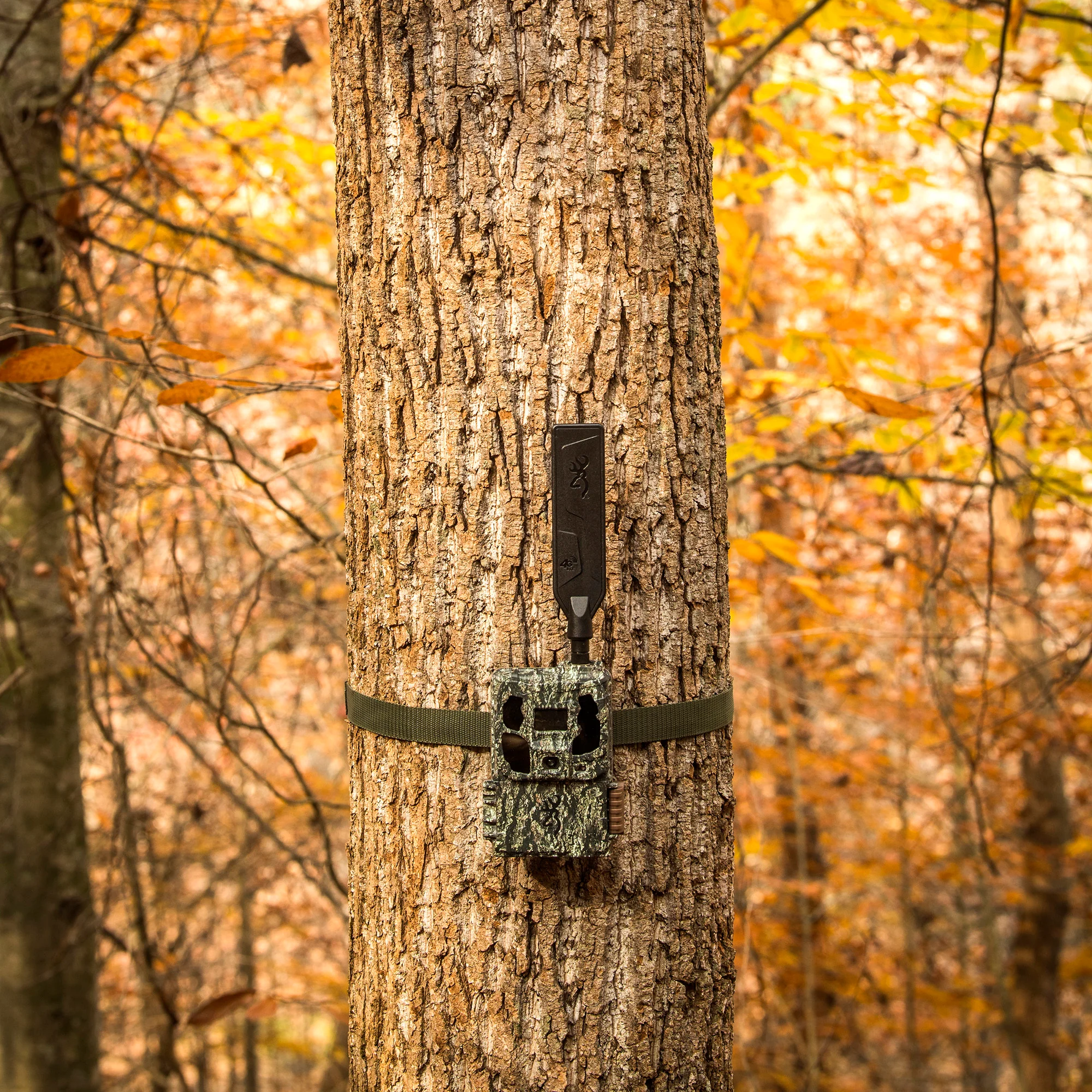 Browning Trail Camera Defender Wireless Pro Scout Max HD AI 46MP Bundle - Image 6