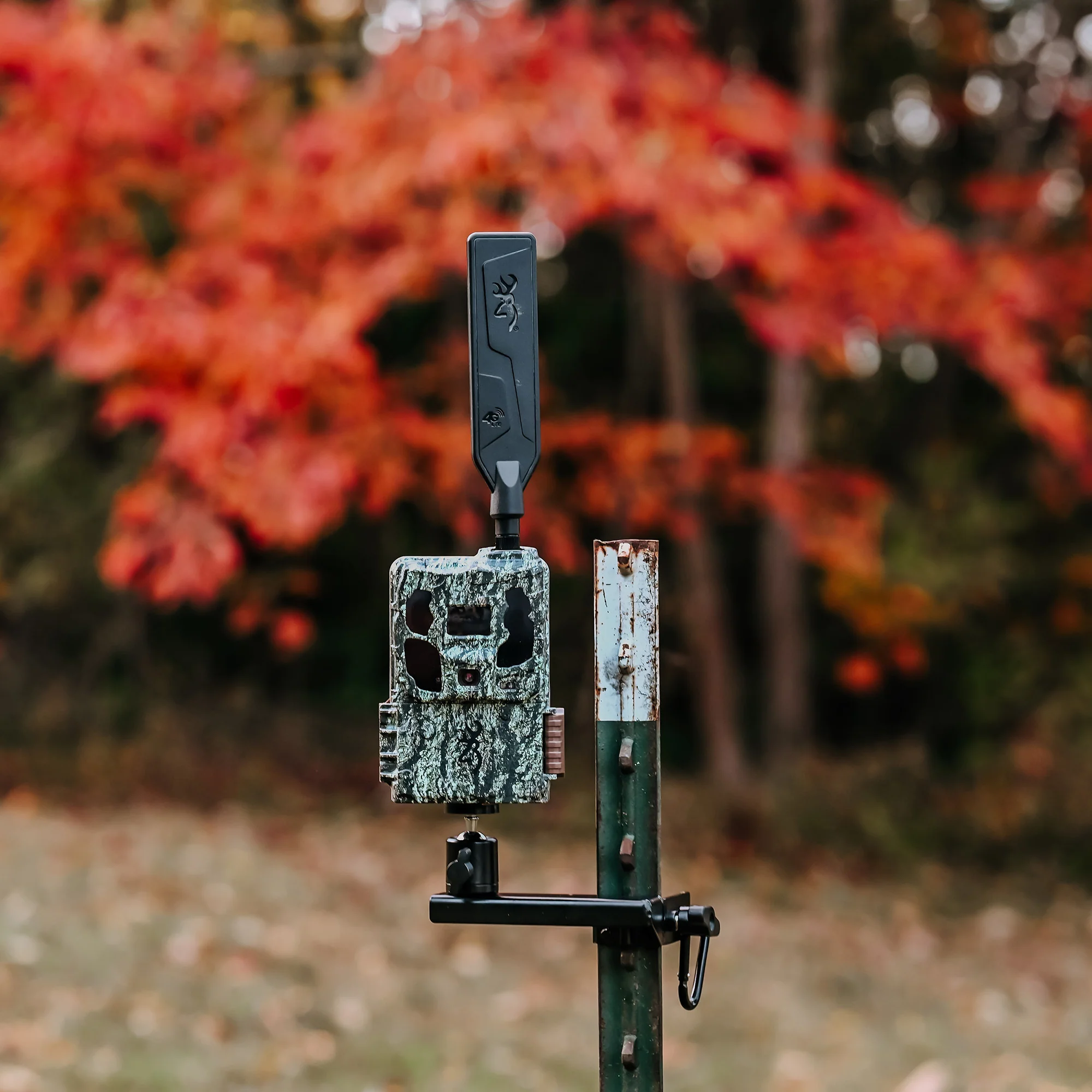 Browning Trail Camera Defender 46MP HD AI Wireless Pro Scout Max Bundle - Image 10