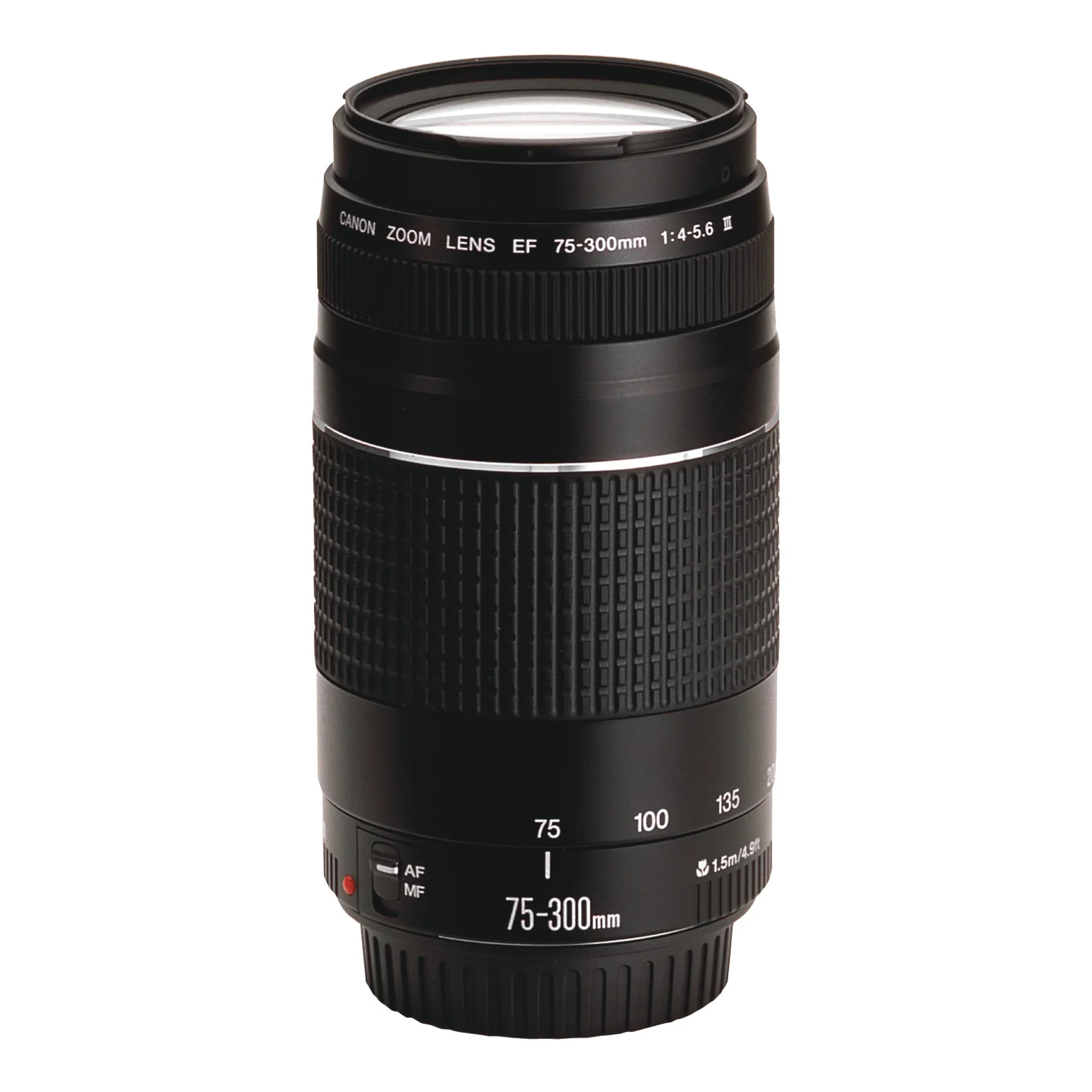 Canon EOS Rebel T7 DSLR Camera and EF 75-300mm Double Zoom Lens Kit Bundle - Image 4