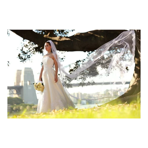 Canon RF 85mm F1.2 L USM Lens - Image 6
