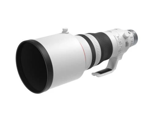 Canon RF 400mm f/2.8L IS USM Lens - Image 2