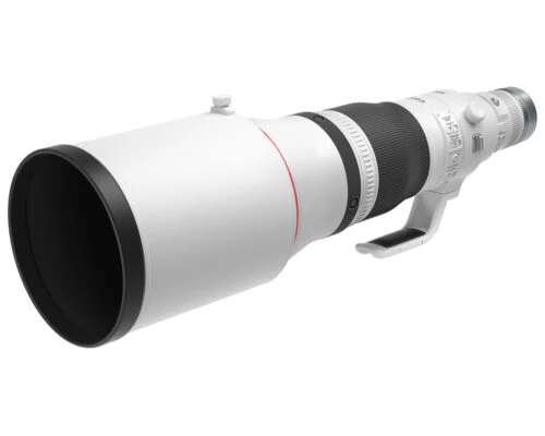 Canon RF 600mm f/4L IS USM Lens - Image 2