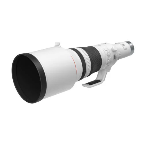 Canon RF 800mm f/5.6 L IS USM Lens - Image 5