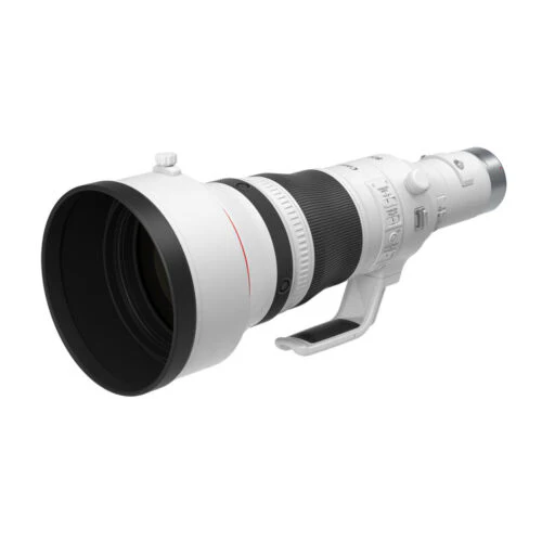 Canon RF 800mm f/5.6 L IS USM Lens - Image 6