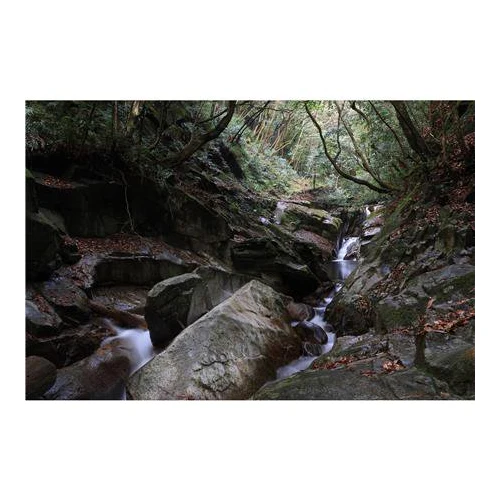 Canon RF-S 18-150mm f/3.5-6.3 IS STM Lens - Image 7