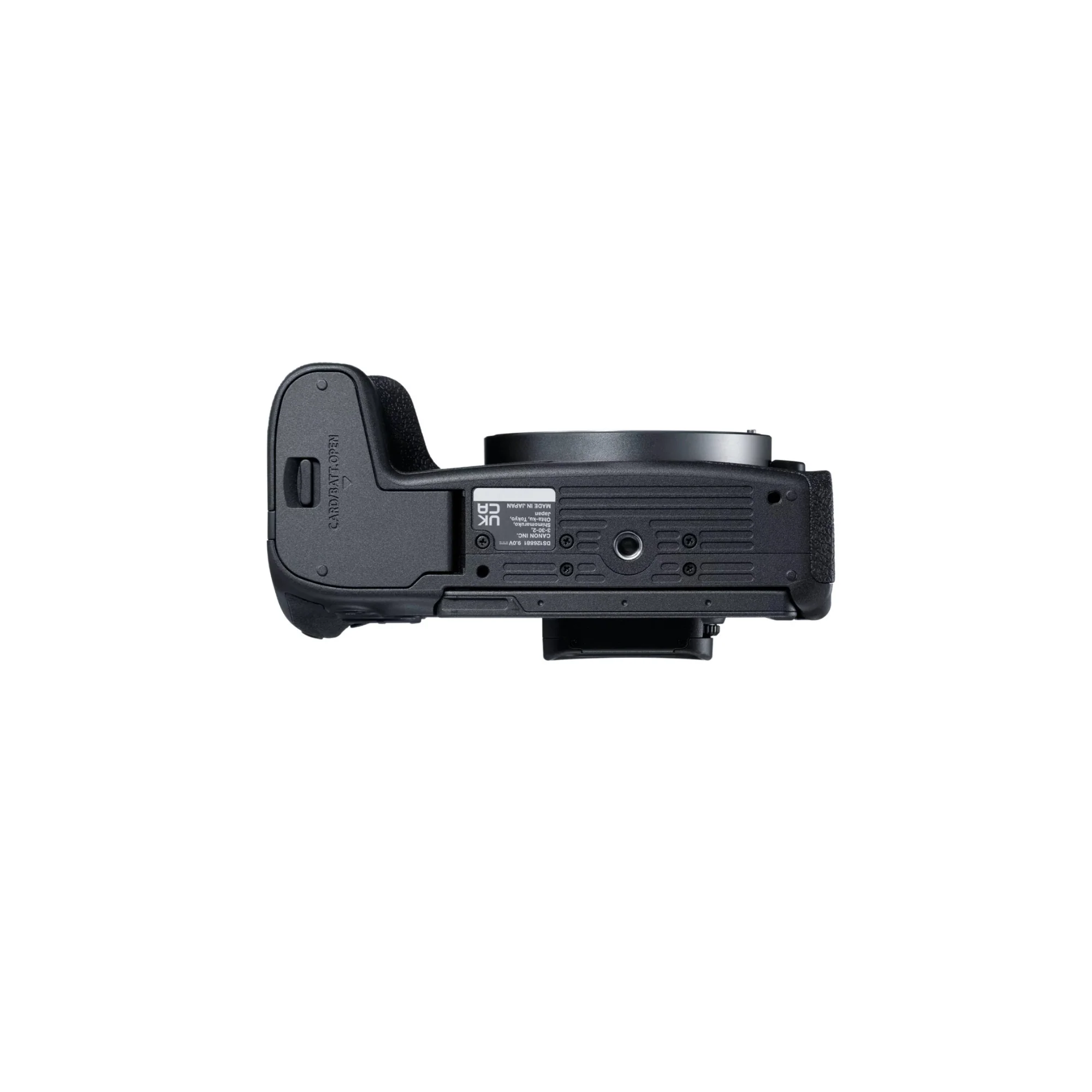 Canon EOS R8 24.2MP Full Frame Mirrorless Camera with Cropping Guide Firmware - Image 5
