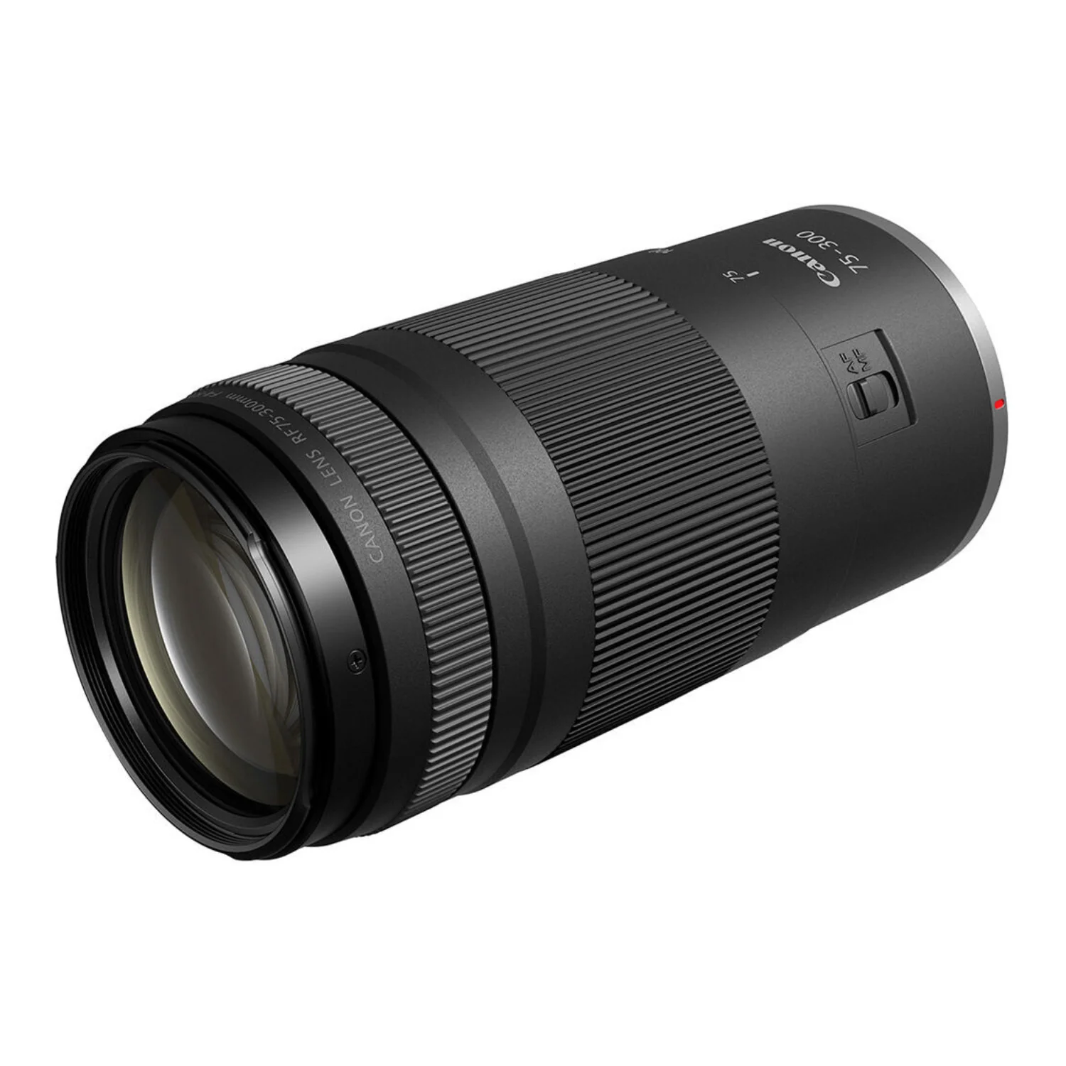 Canon EOS R100 Mirrorless Camera Kit with RF-S18-45mm IS STM, RF75-300mm Lenses - Image 6