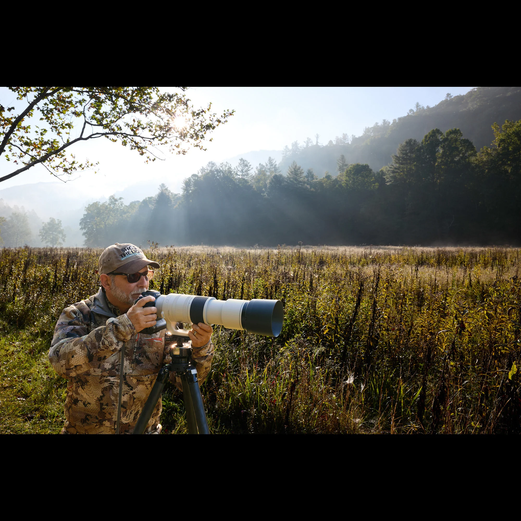 Canon RF 200-800mm F6.3-9 IS USM Lens - Image 8