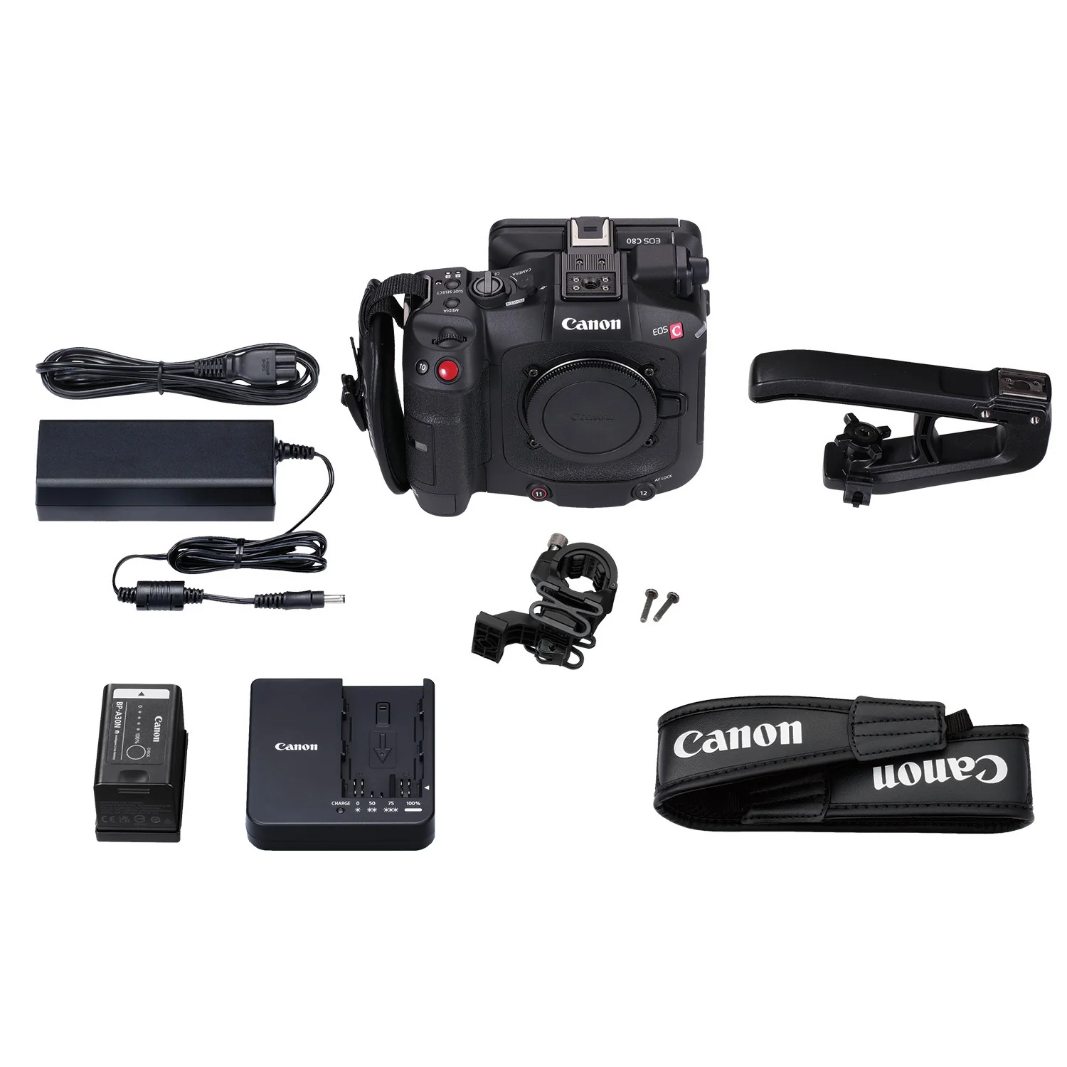 Canon EOS C80 6K Full-Frame Cinema Camera (Canon RF) - Image 10