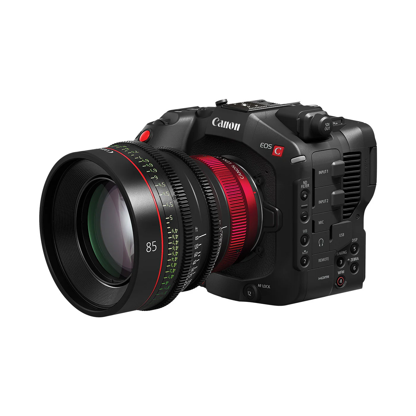 Canon EOS C80 6K Full-Frame Cinema Camera (Canon RF) - Image 5