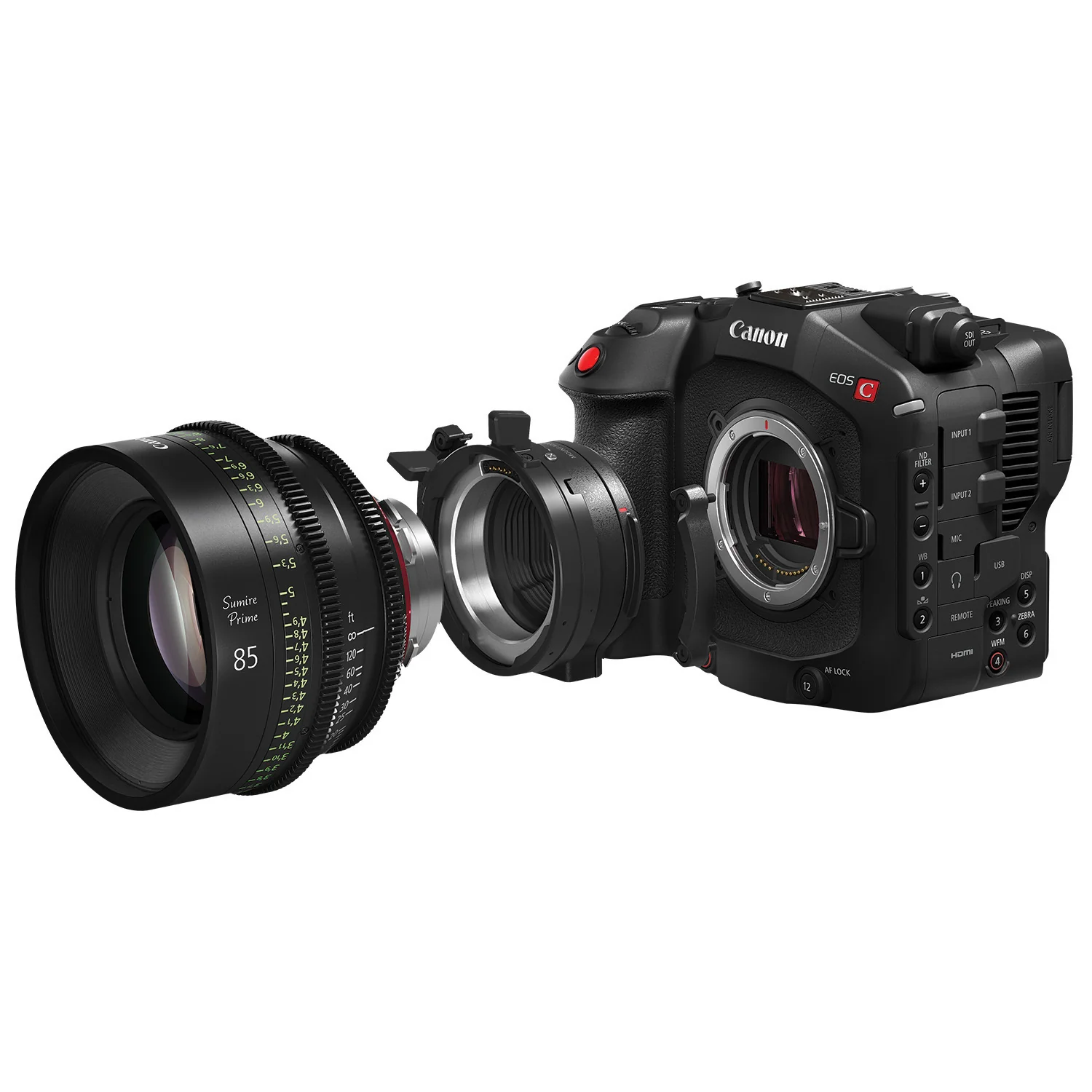 Canon EOS C80 6K Full-Frame Cinema Camera (Canon RF) - Image 8
