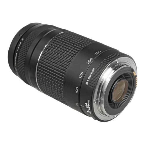 Canon EF 75-300mm f/4-5.6 III Telephoto Zoom Lens - Image 2