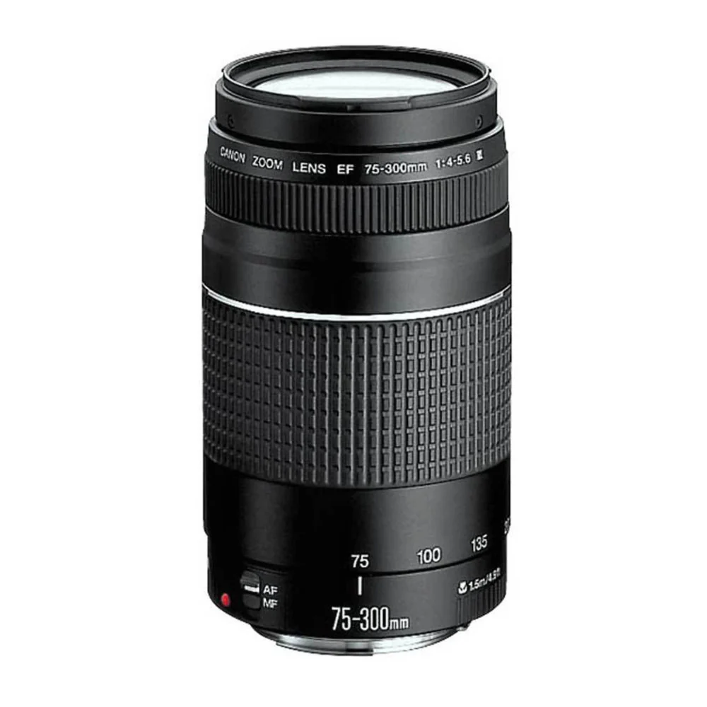 Canon EOS Rebel SL3 DSLR 4K Camera (Black) with EF-S 18-55mm and EF 75-300mm Double Zoom Lens Bundle - Image 4
