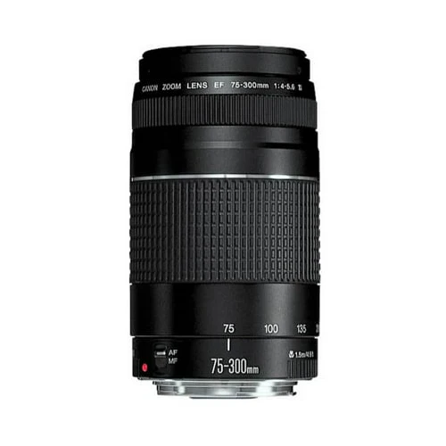 Canon EOS Rebel T7 DSLR Camera with 18-55mm and 75-300mm Lenses Basic Kit - Image 10