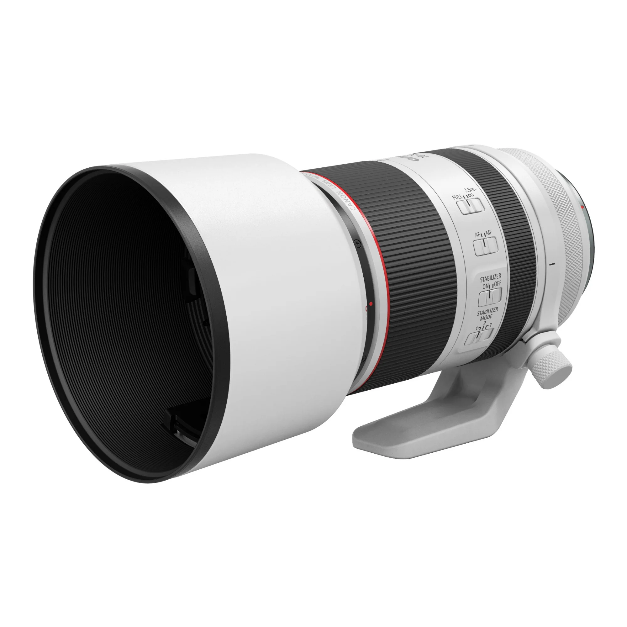 Canon EOS R6 Mark II Mirrorless Camera with Canon RF 70-200mm f/2.8L IS USM Lens - Image 11