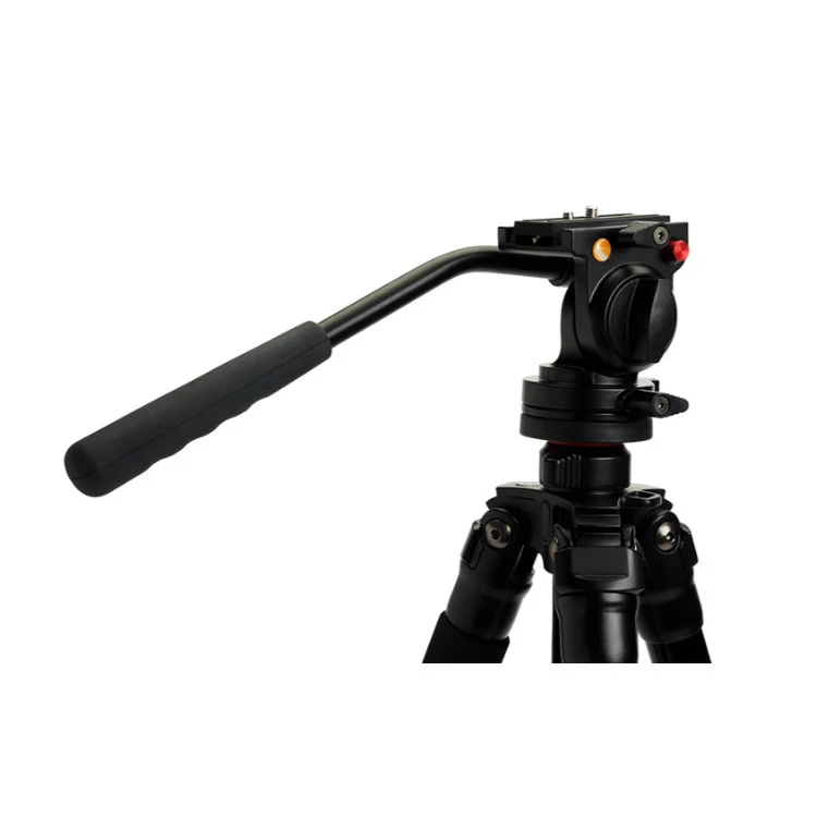 Celestron 4-Section Leg Regal Premium Tripod with Two-Way Pan Head - Image 2