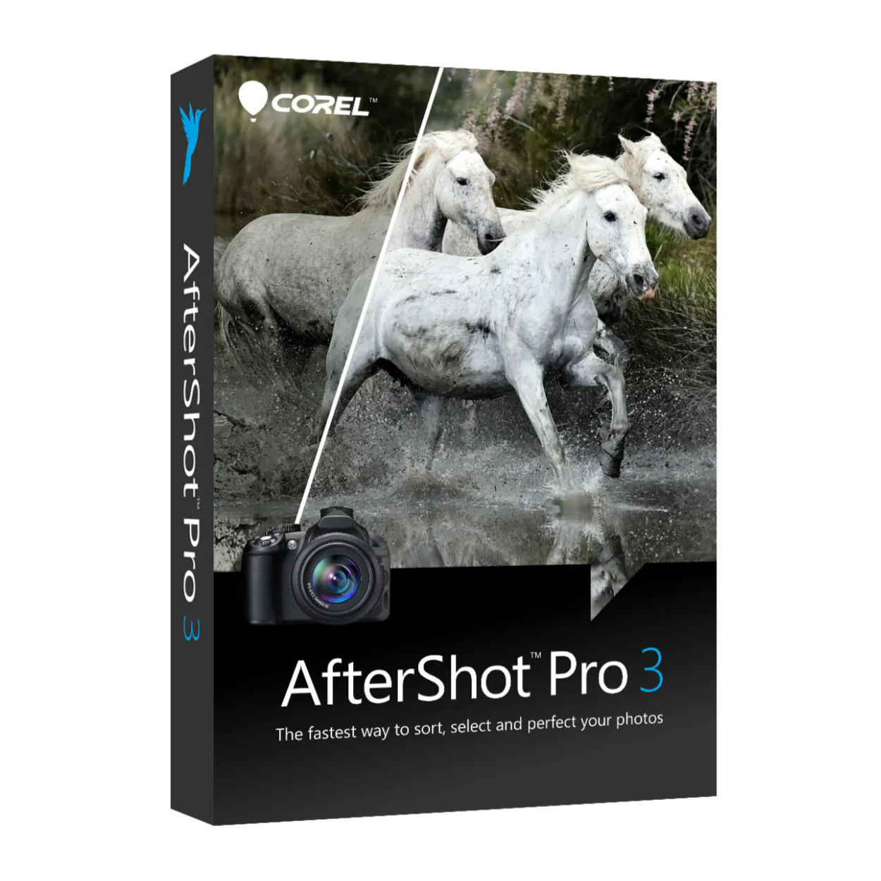 Corel Photo, Video, and Art Deluxe Software Suite v4.0 with Photo Mirage - Image 2