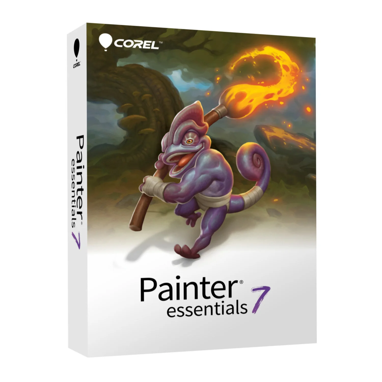 Corel Photo, Video, and Art Deluxe Software Suite v4.0 with Photo Mirage - Image 3