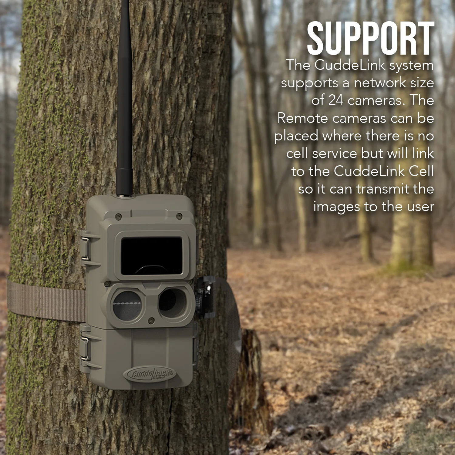 Cuddeback CuddeLink Wireless, 3rd Gen Sensor, Low-Glow IR LED Camera Bundle - Image 5